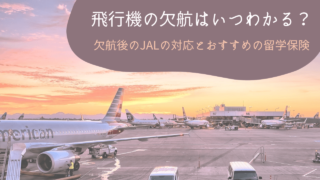 飛行機の欠航はいつわかる？欠航後のJALの対応と裏番号
